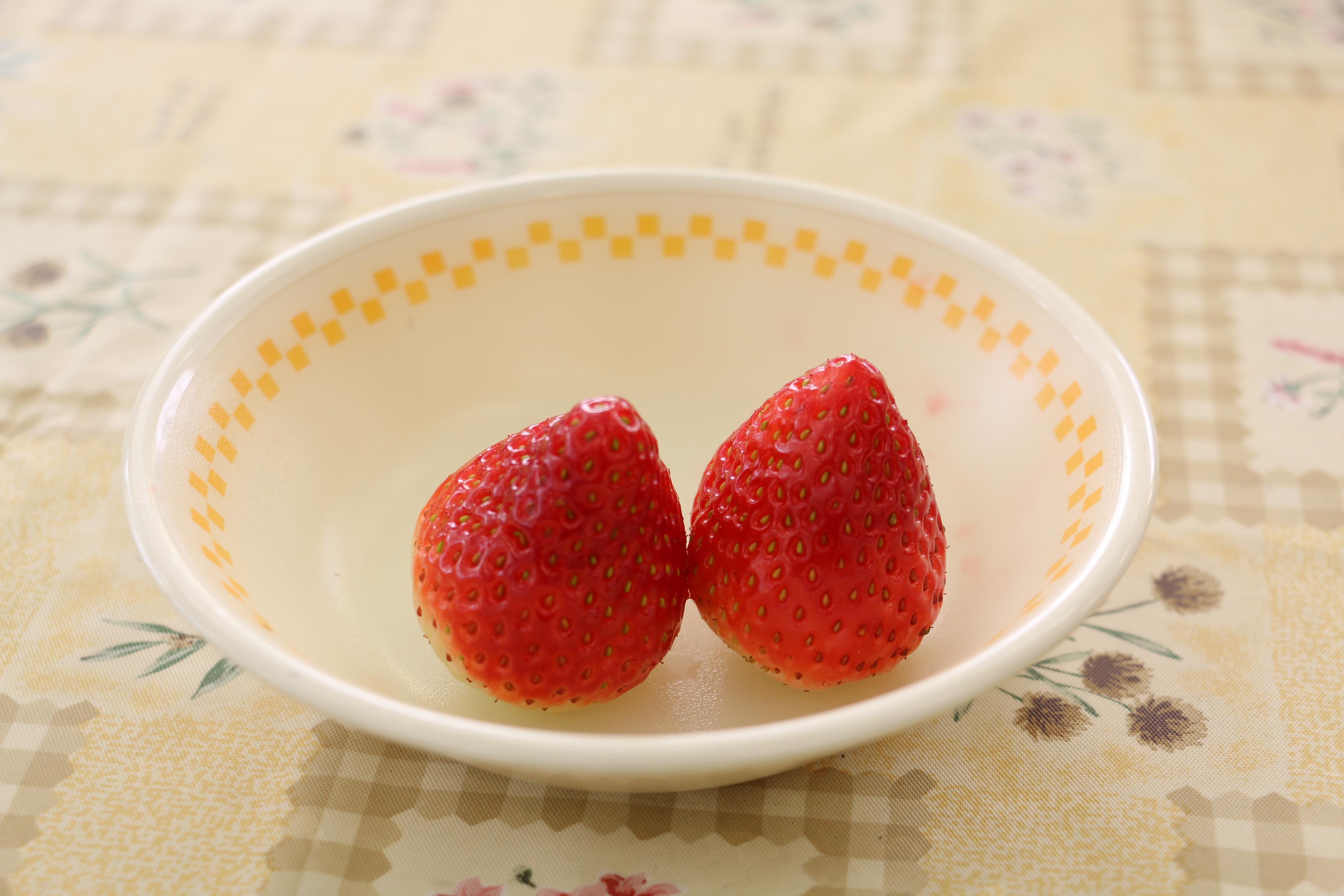 JAなすの管内産のとちおとめ JAなすの管内産のとちおとめ
