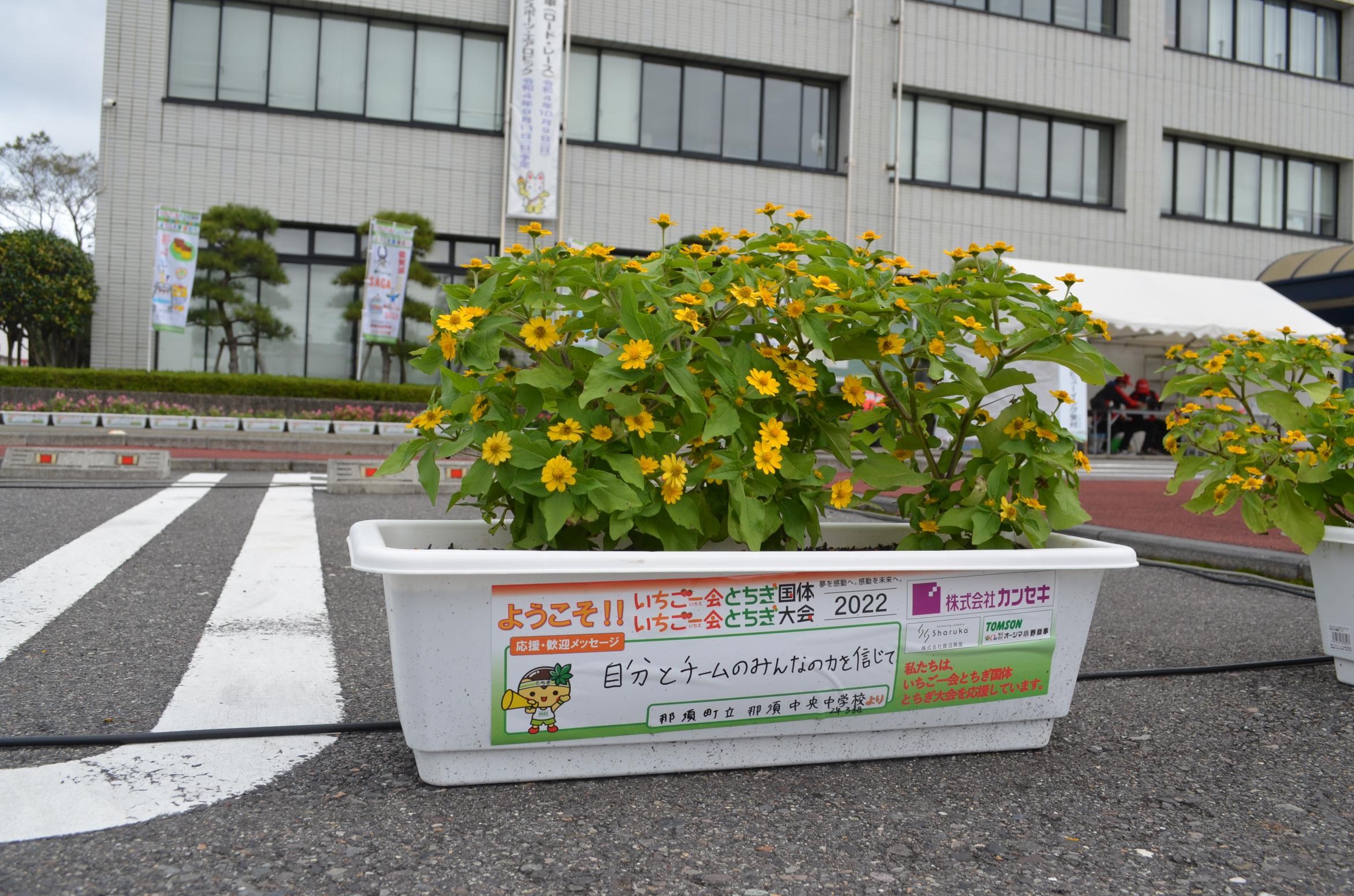 DSC_0040 DSC_0040