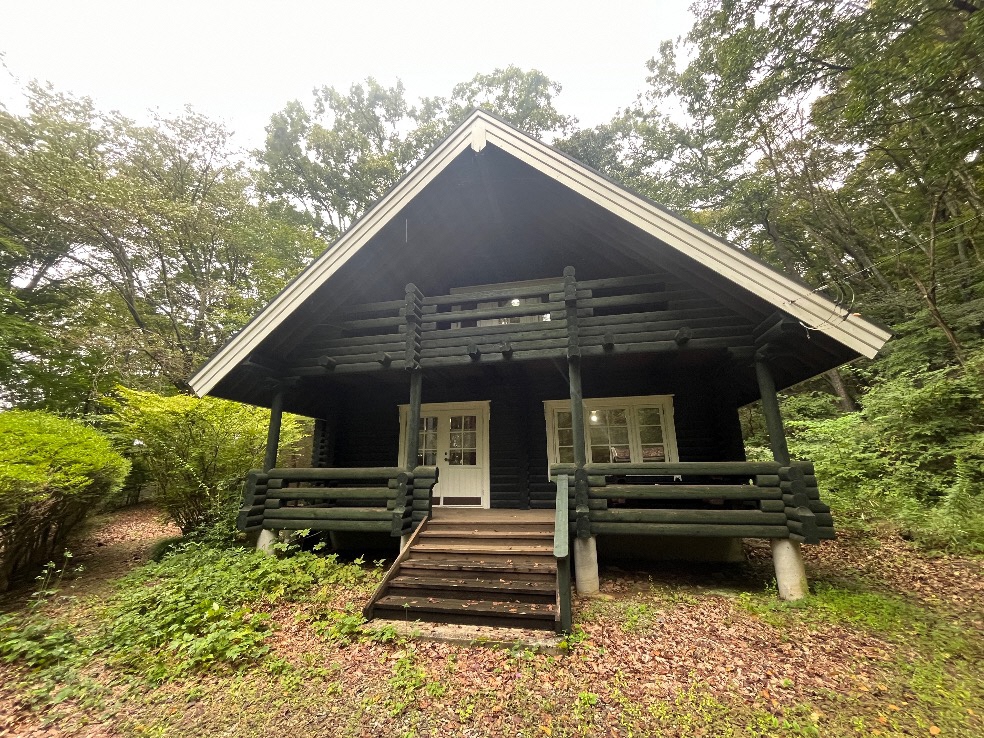 image1 image1