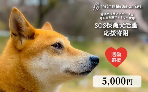 SOS保護犬活動