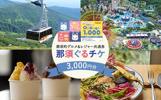 那須ぐるチケ