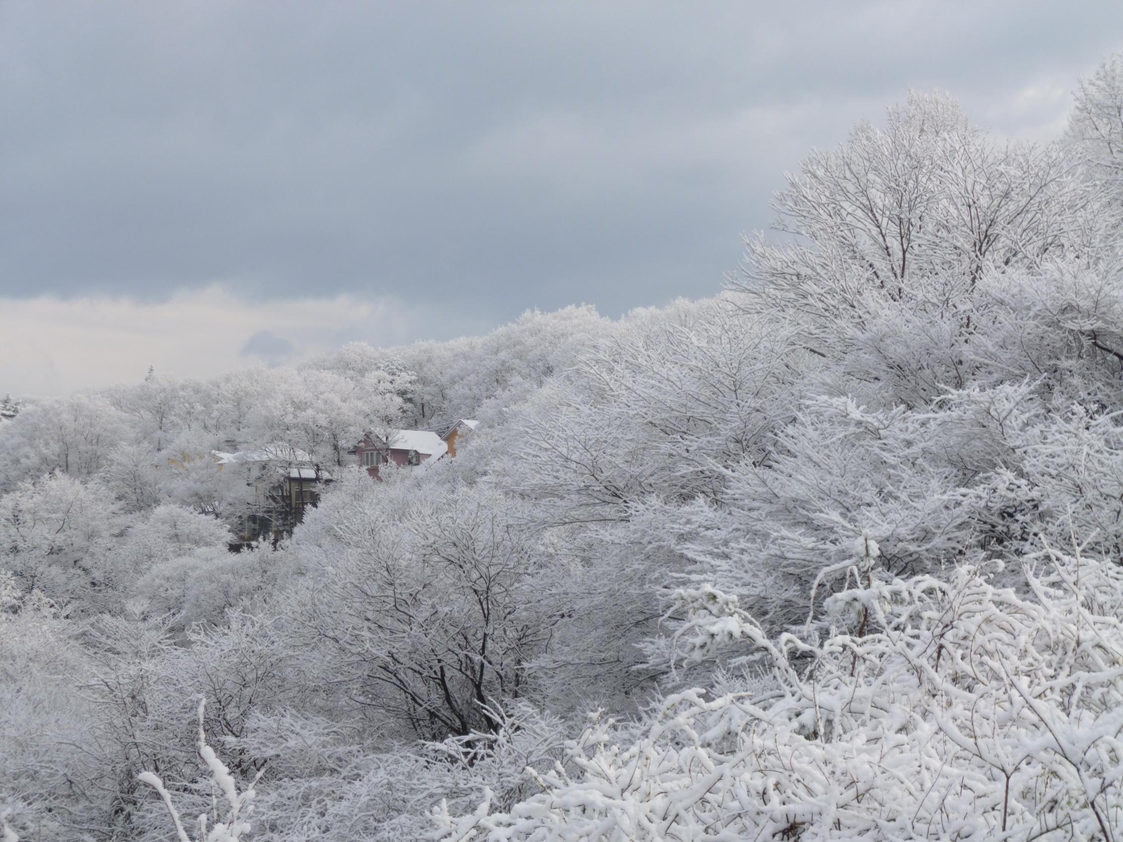 那須の冬景色