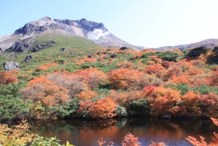 茶臼岳姥ヶ平の紅葉