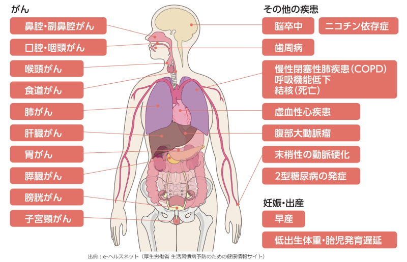 たばこ健康問題
