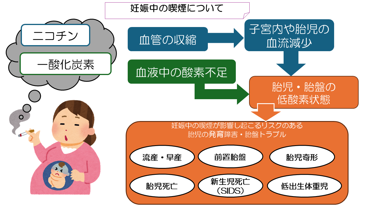 たばこ妊婦