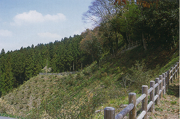 館山山城跡