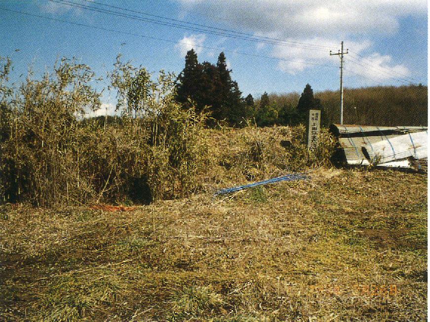 上田弥生式遺跡