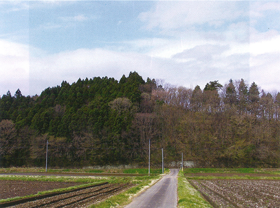 沼野井氏居館跡