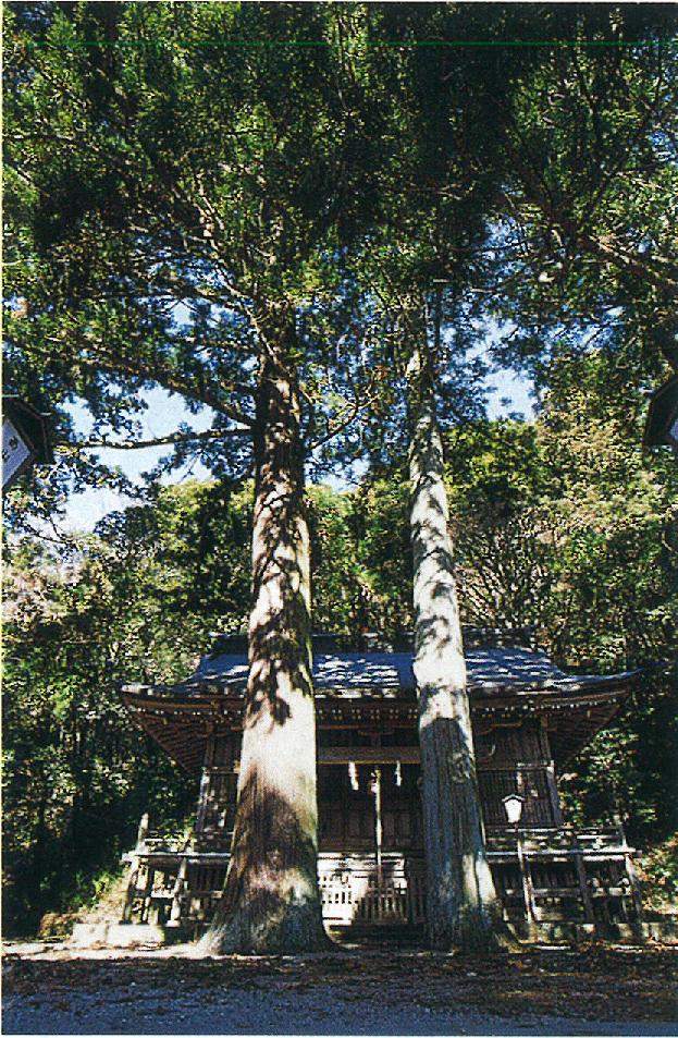 伊王野城址の樹林 伊王野城址の樹林