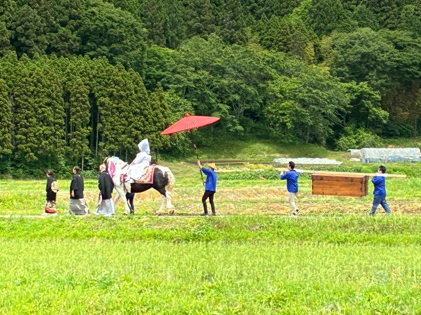 田植えまつり1 田植えまつり1