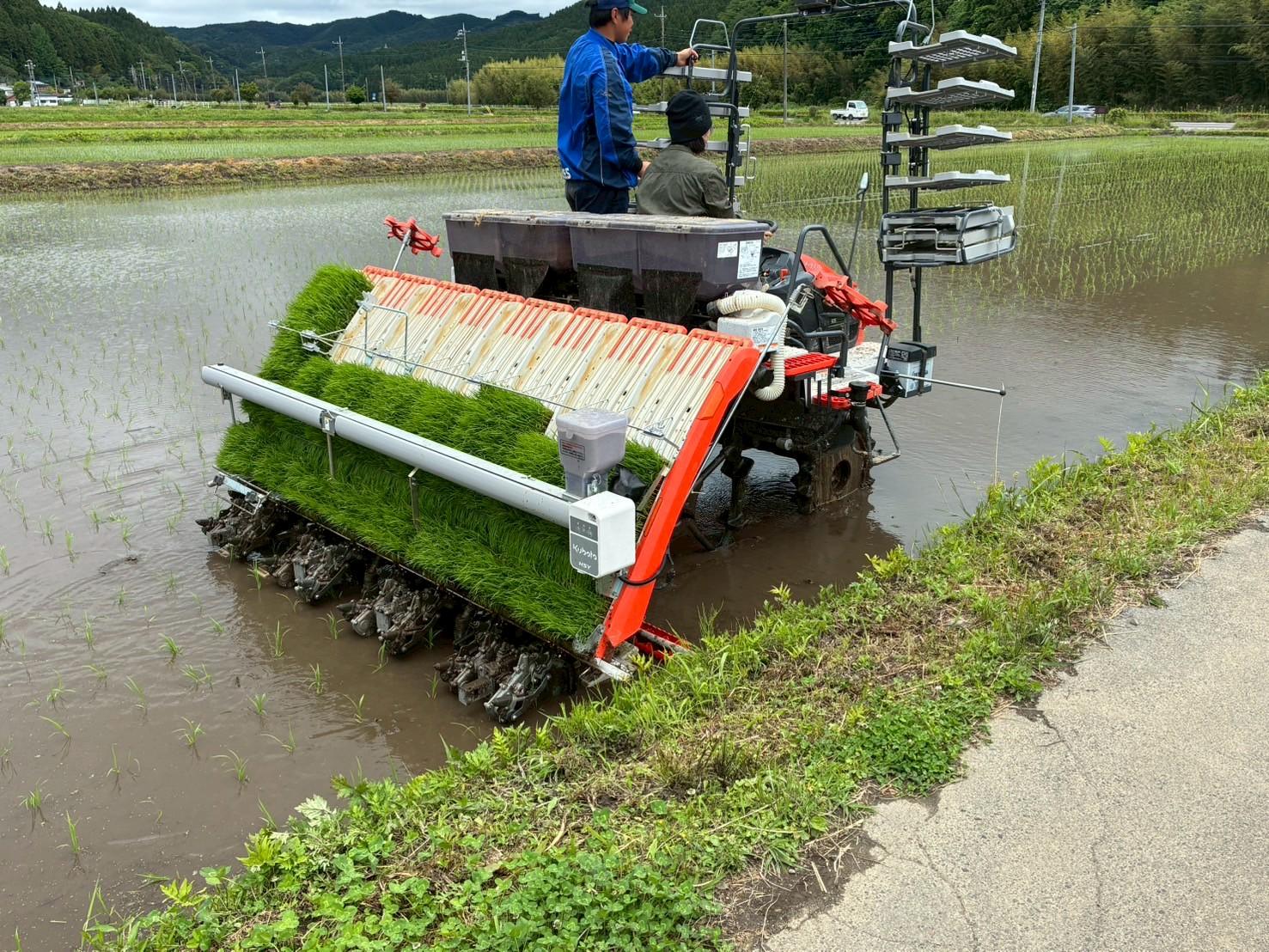 田植えまつり2 田植えまつり2