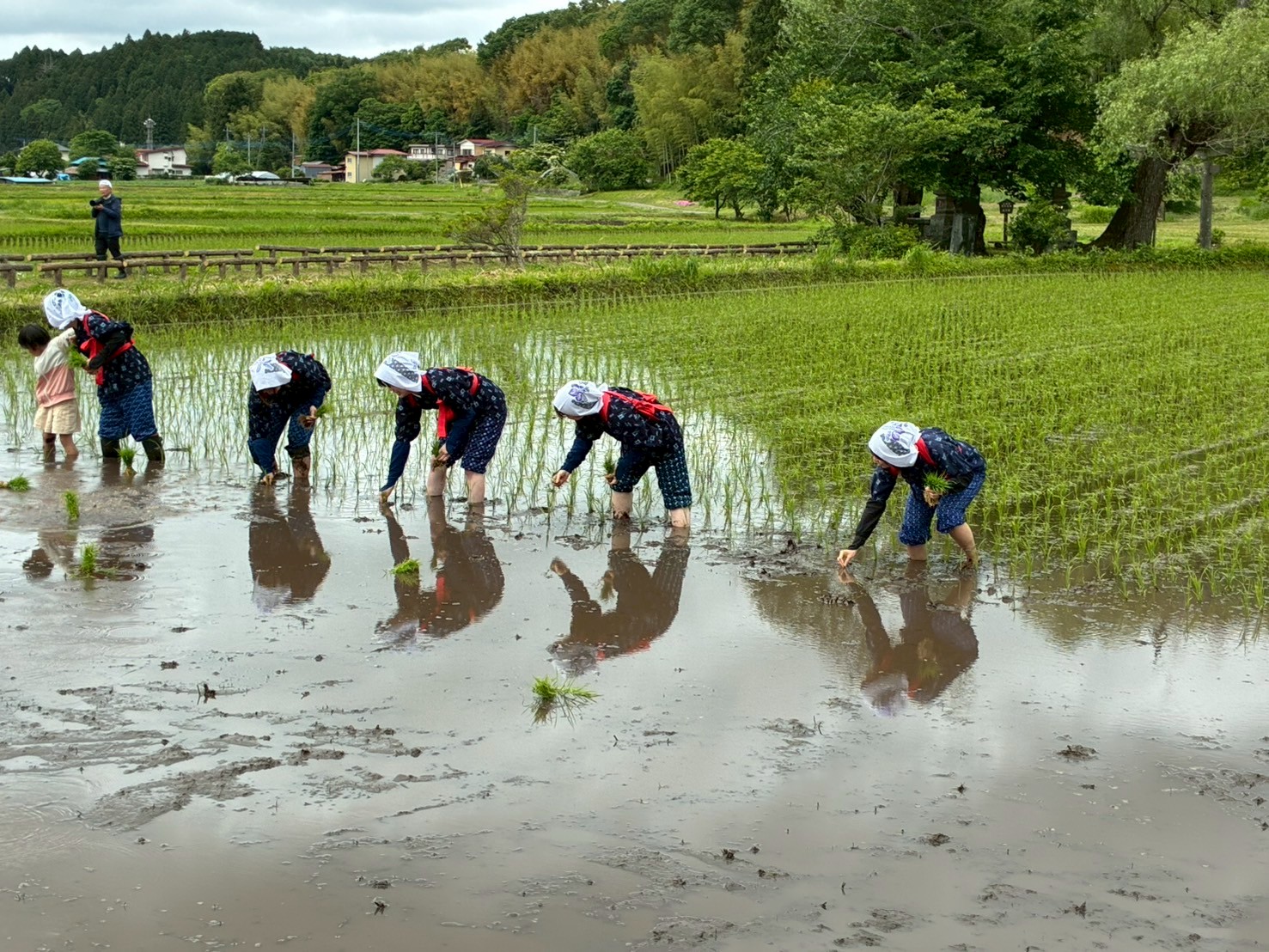 田植えまつり3 田植えまつり3