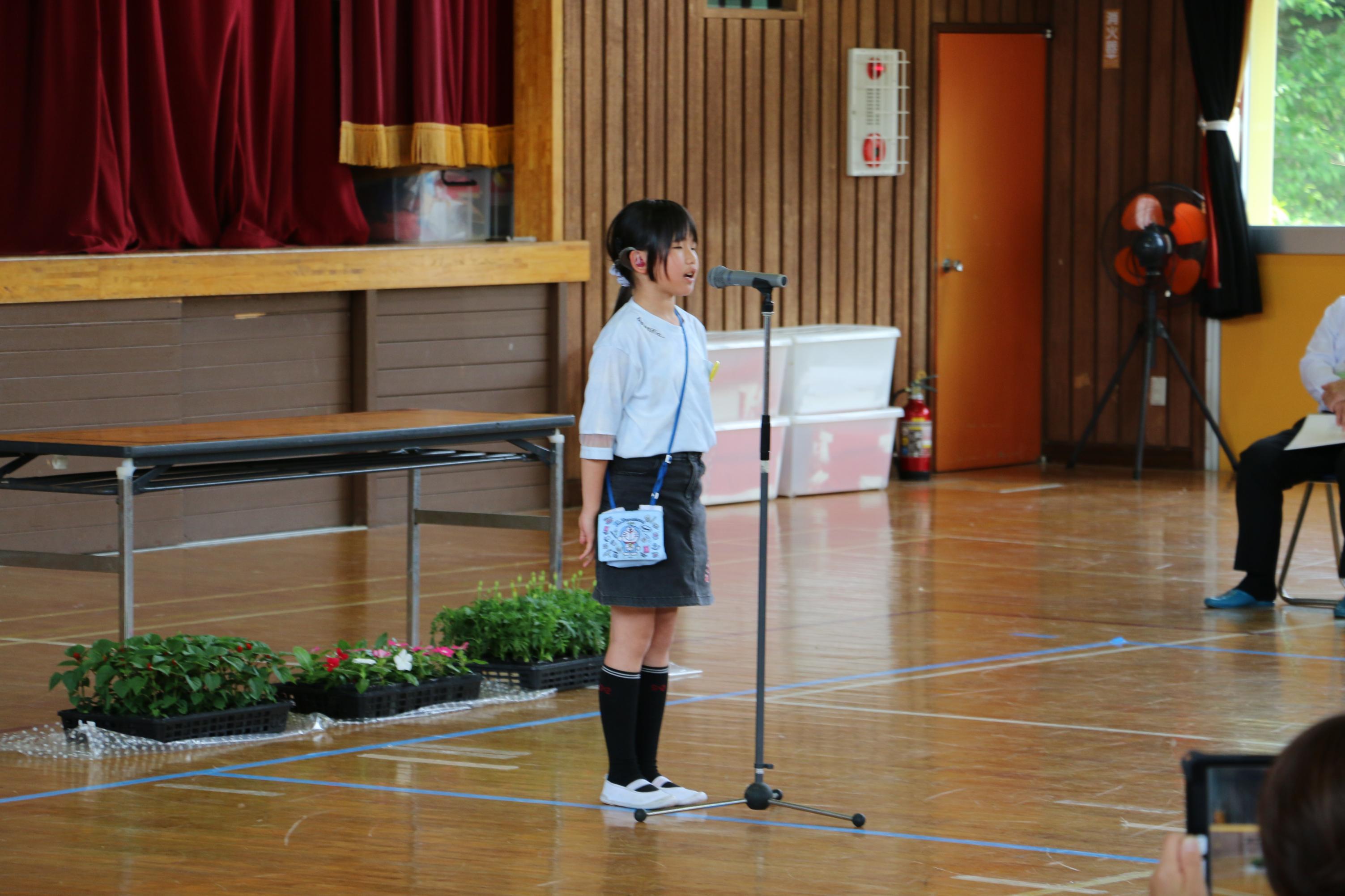 人権の花2 人権の花2