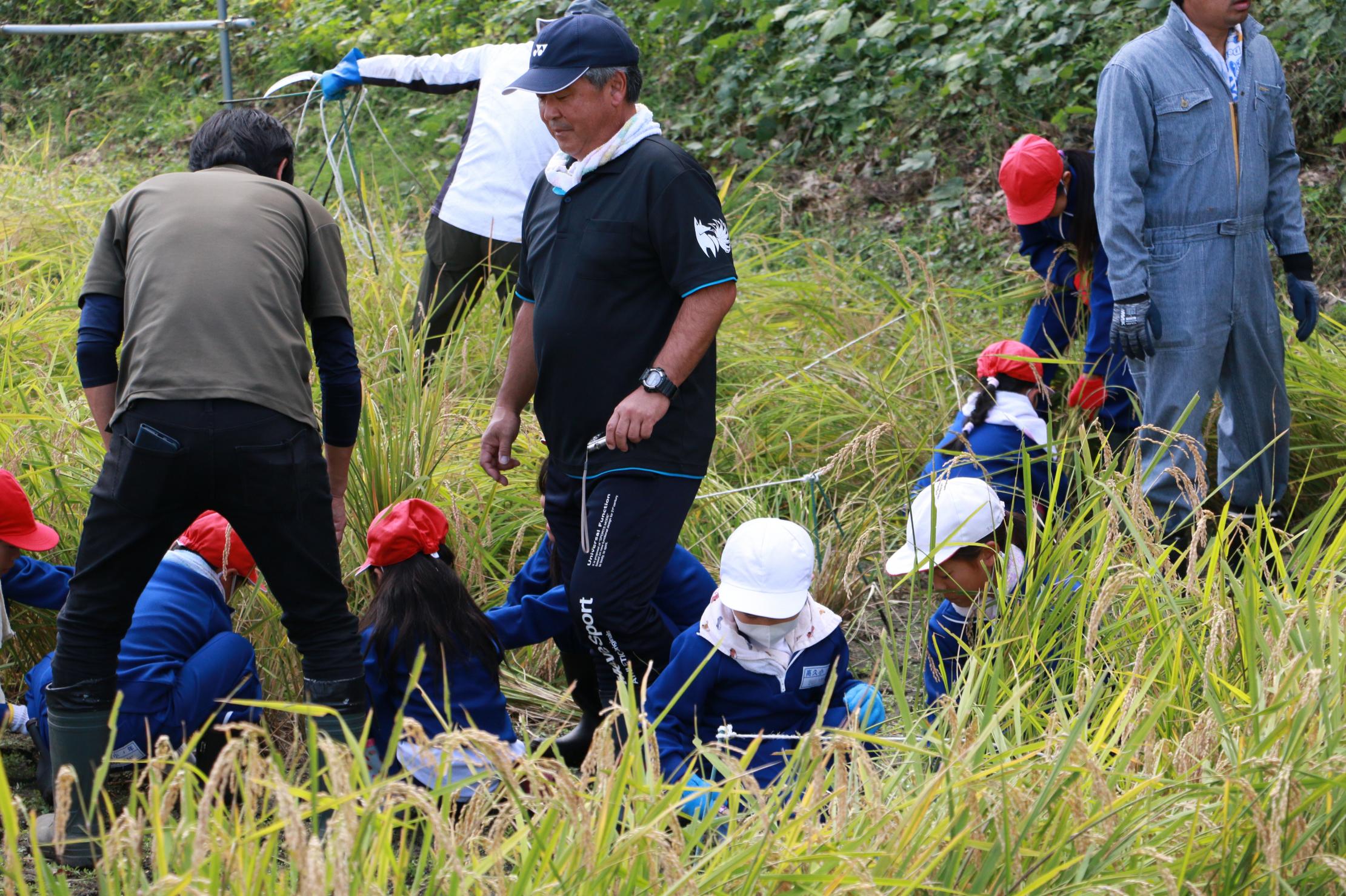 61aac5eb-b30d-4ec9-bd09-25e6a0840202