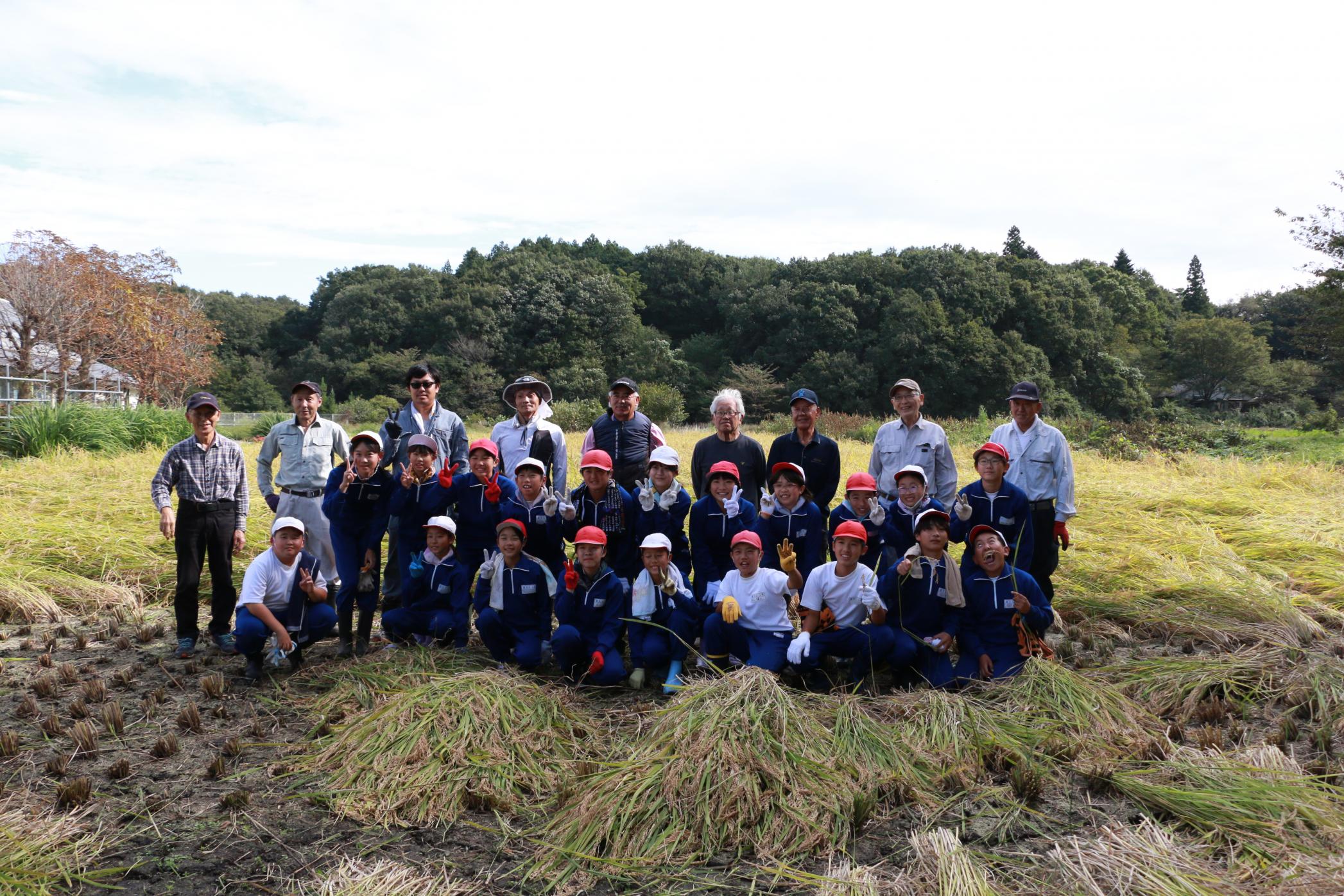 f5927ee9-5c44-4790-b034-379de25eb52b