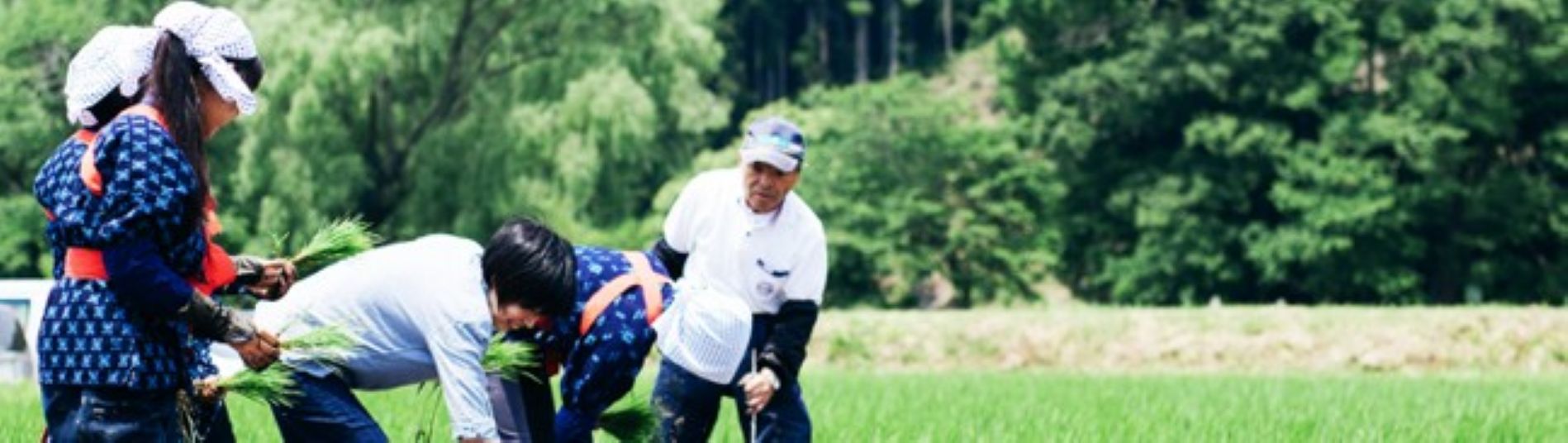 トップ画像_子どもたちが田植えをしている様子