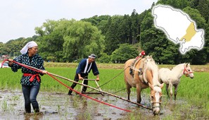 住まい_芦野地域