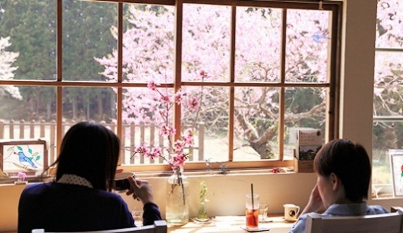 働く_カフェでお茶を飲む2人