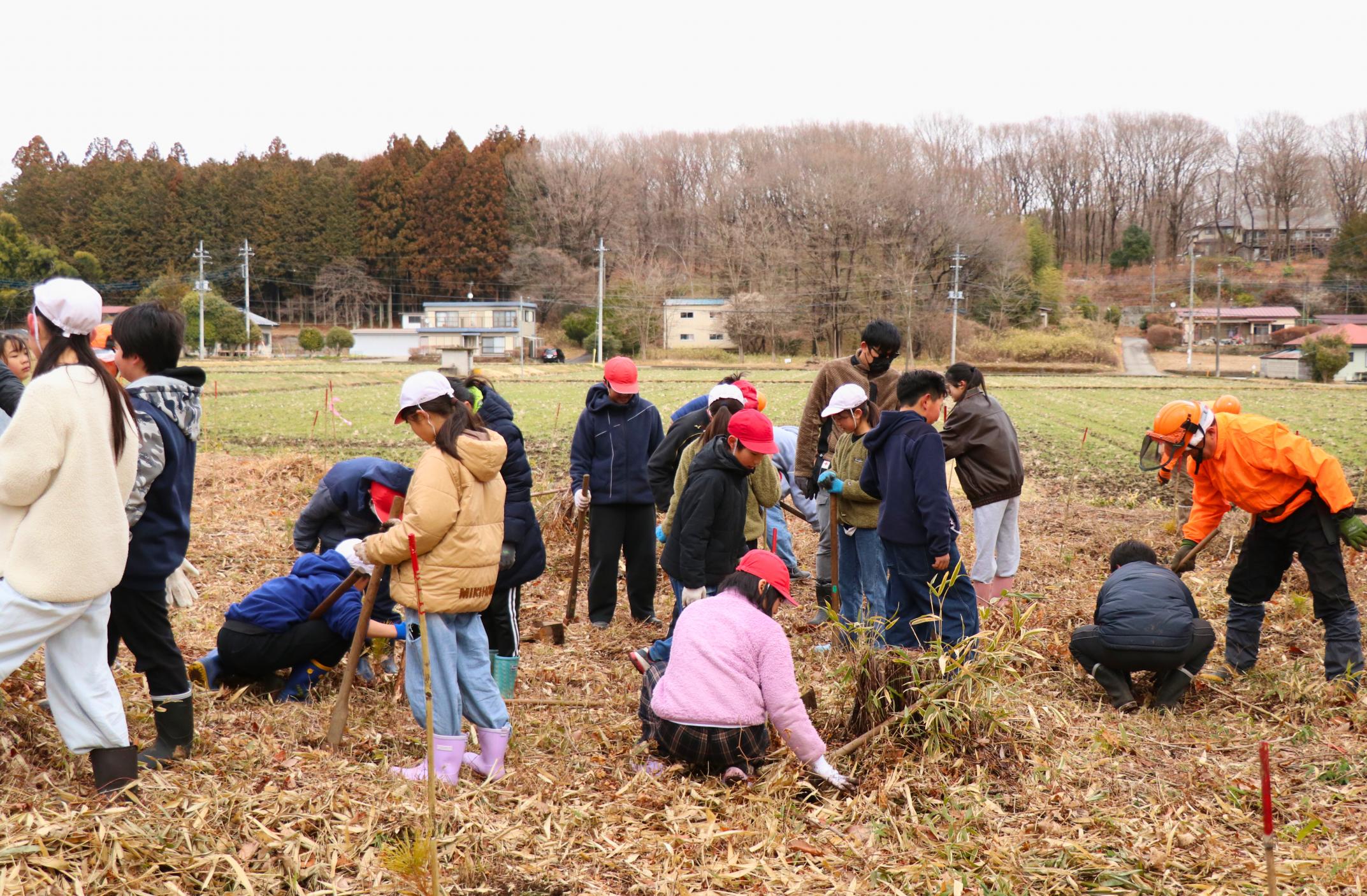 那須街道のアカマツ林にアカマツの苗を植樹している高久小学校の児童の写真