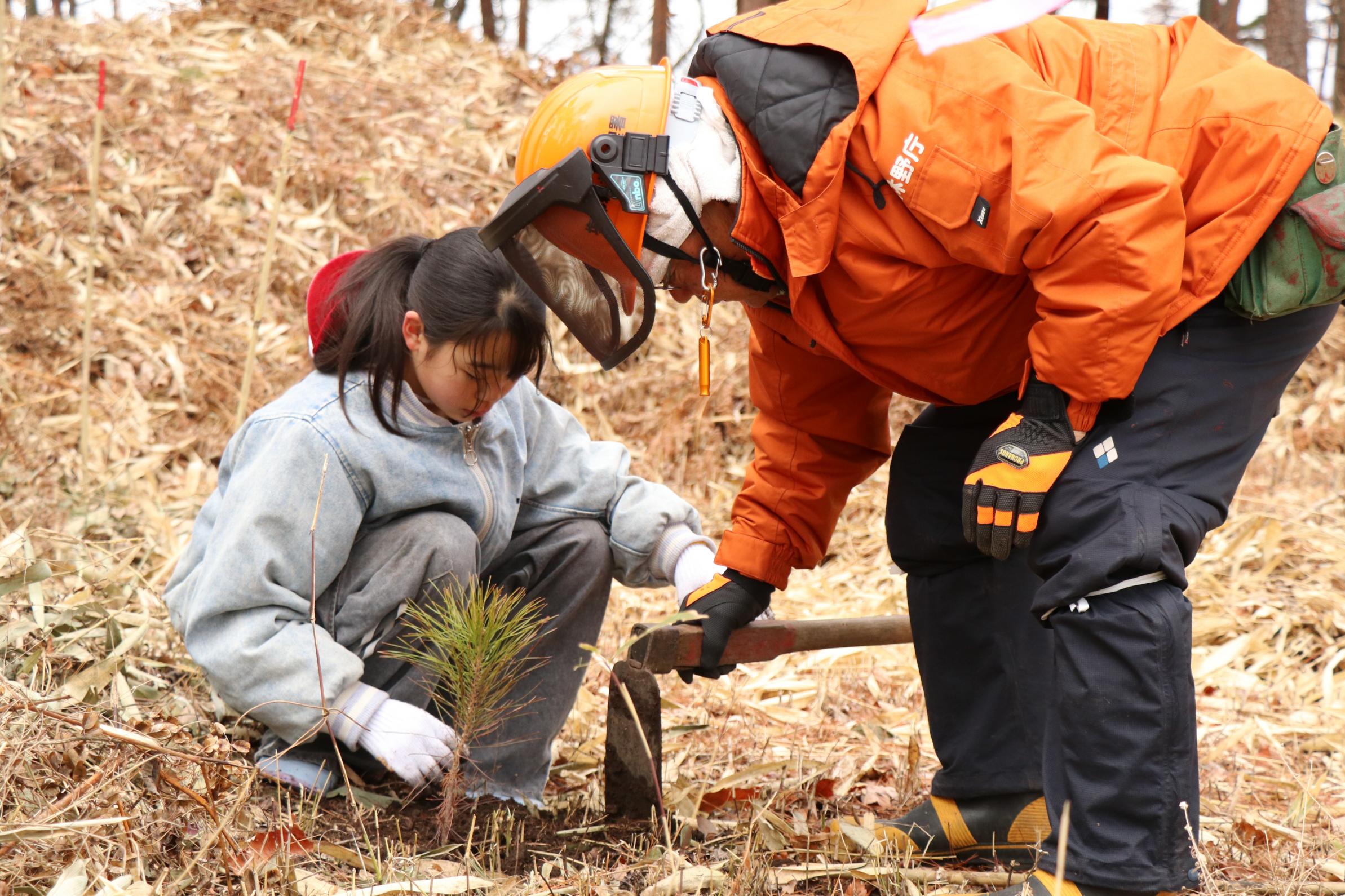 那須街道のアカマツ林にアカマツの苗を植樹している高久小学校の児童の写真 那須街道のアカマツ林にアカマツの苗を植樹している高久小学校の児童の写真