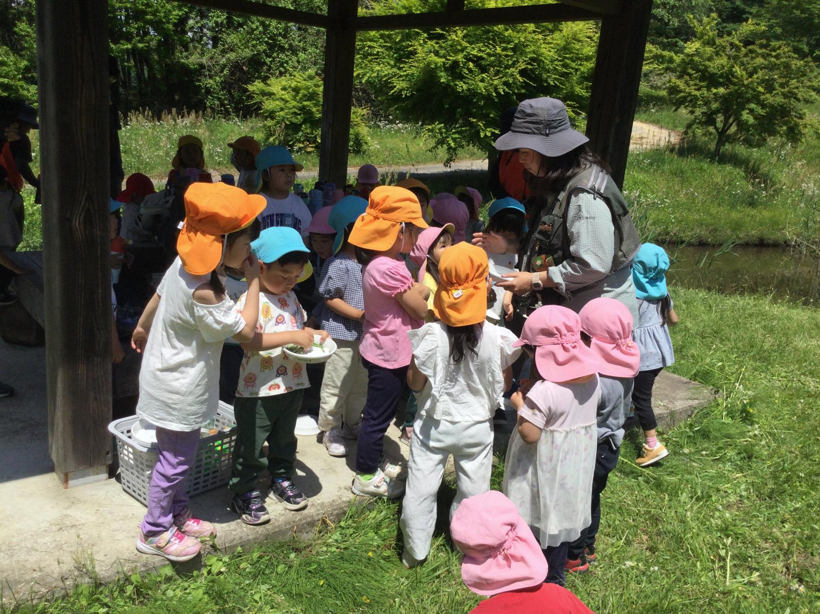 伊王野2