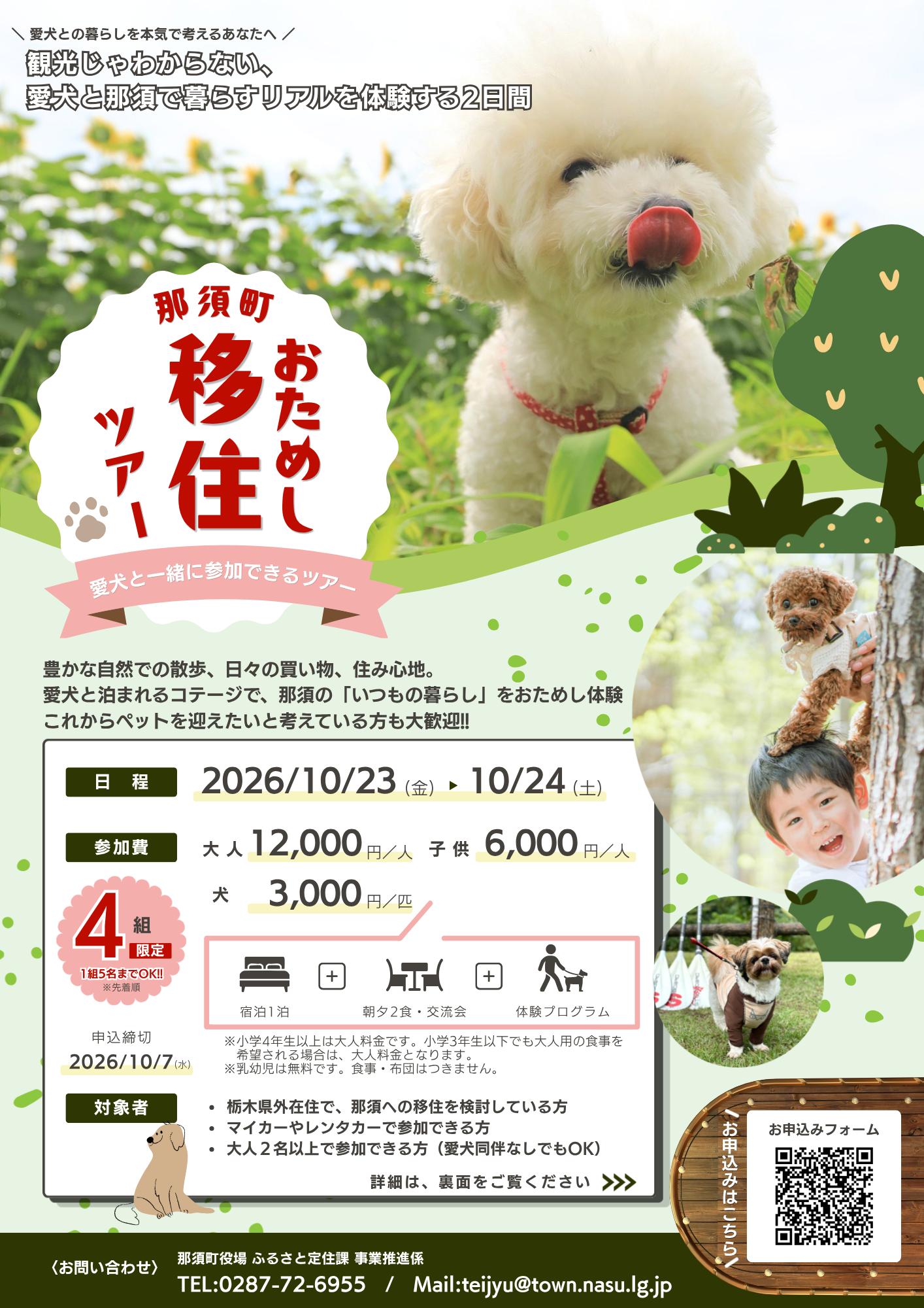 チラシ表 チラシ表