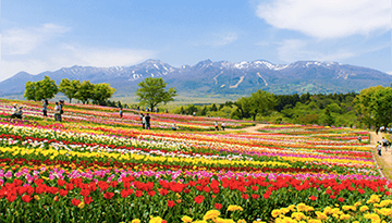 季節ごとに-春の那須